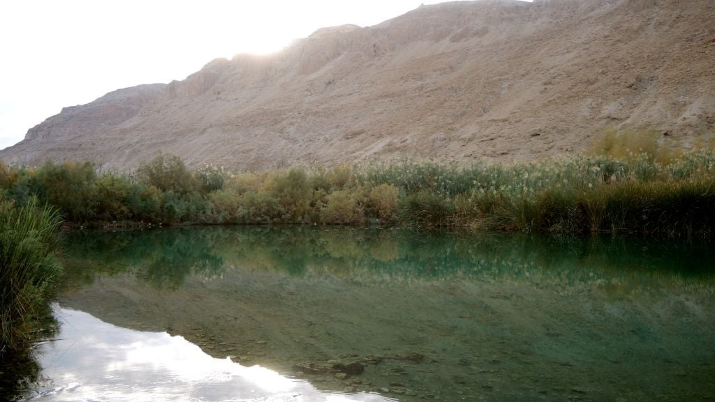 The freshwater holding pools at Einot Tzokim on January 3, 2017. Three pools act as reservoirs for the NIS 2.5 million pumping project, (Melanie Lidman/Times of Israel) The freshwater holding pools at Einot Tzukim on January 3, 2017. Three pools act as reservoirs for the NIS 2.5 million pumping project, (Melanie Lidman/Times of Israel)