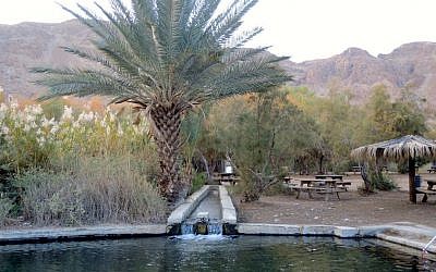 Illustrative: A water pool built for visitors at Einot Tzukim on January 3, 2017. (Melanie Lidman/Times of Israel)