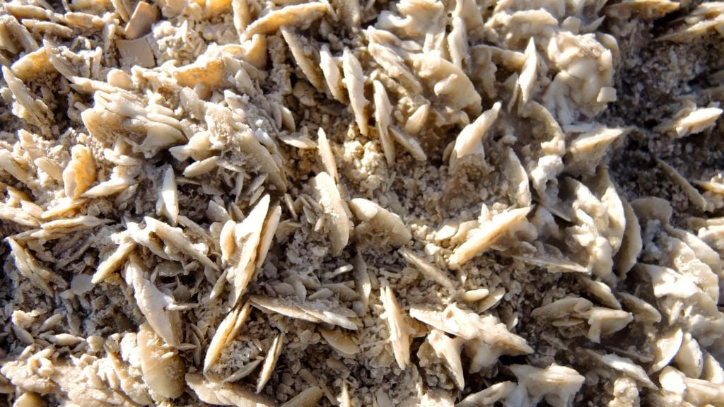 Salt formations can take many shapes and forms, such as this one found on the shores of the Dead Sea north of Mitzpe Shalem on January 11, 2017. (Melanie Lidman/Times of Israel) Salt formations can take many shapes and forms, such as this one found on the shores of the Dead Sea north of Mitzpe Shalem on January 11, 2017. (Melanie Lidman/Times of Israel)