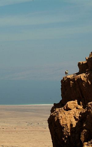 The northern face of Masada (Deborah Sinai/Flash90)