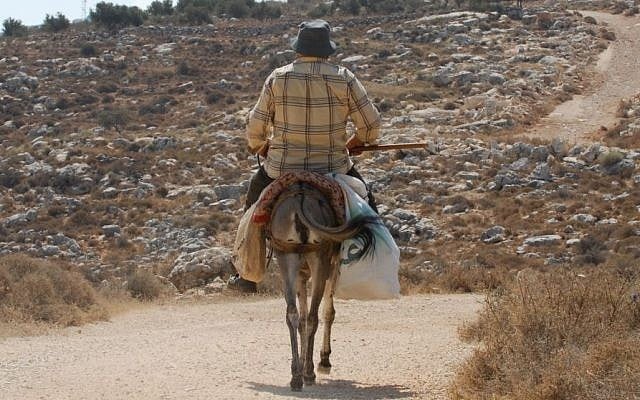 Illustrative photo of a Palestinian man riding a donkey in the West Bank, July 31, 2009. (Gili Yaari/Flash 90) Illustrative photo of a Palestinian man riding a donkey in the West Bank, July 31, 2009. (Gili Yaari/Flash 90)