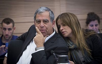 Yesh Atid MK Mickey Levy and Kulanu lawmaker Merav Ben Ari in the Knesset on February 6, 2017. (Miriam Alster/Flash90)