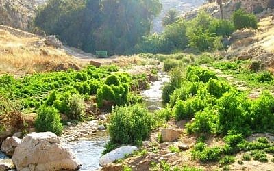 Nahal Prat (Wadi Kelt), a nature reserve and park in the Judean desert, Israel (Public domain/Wikipedia)