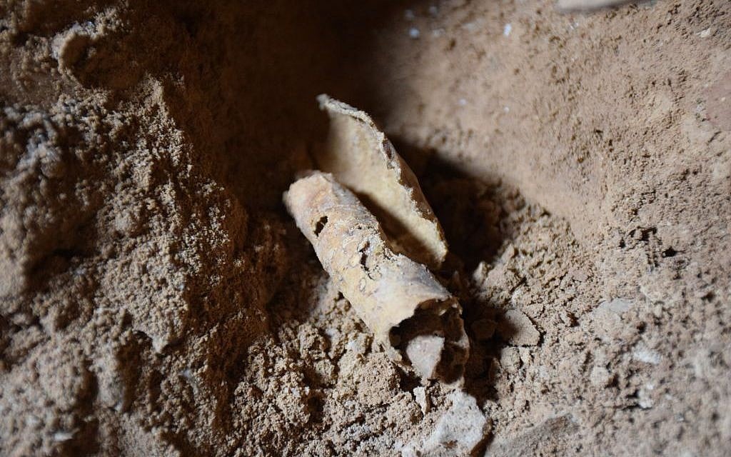 Remnant of scroll found in a cave near Qumran after it was removed from jar (Casey L. Olson and Oren Gutfeld, Hebrew University)