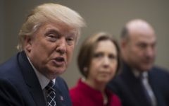 US President Donald Trump speaks during a NEC listening session with CEOs of small and community banks at the White House in Washington DC, March 9, 2017. (AFP/Jim Watson)