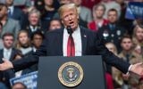 US President Donald Trump speaks during a rally in Nashville, Tennessee, on March 15, 2017. (AFP Photo/Nicholas Kamm)