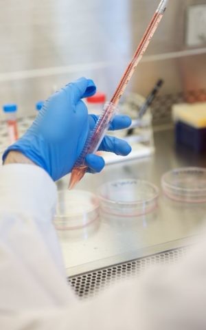 A lab at the McEwen Centre for Regenerative Medicine in Toronto (Courtesy)