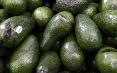 Avocados for sale at Jerusalem's Mahane Yehuda market on December 12, 2011. (Uri Lenz/Flash90)