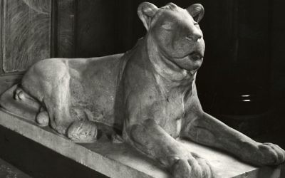 This undated photo provided by Staatliche Museen zu Berlin shows the sculpture 'Lying Lion' by August Gaul, an art piece from the collection of German-Jewish publisher Rudolf Mosse. (Staatliche Museen zu Berlin via AP)