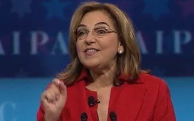 AIPAC President Lillian Pinkus addresses the annual conference on March 26, 2017 (YouTube screenshot)