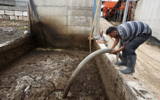 Kamal al-Jebrini (L) observes dung processing the Jebrini dairy farm in the West Bank town of Hebron, where cow dung is used to produce electricity as an alternative power source, April 10, 2017. (AFP Photo/Hazem Bader)