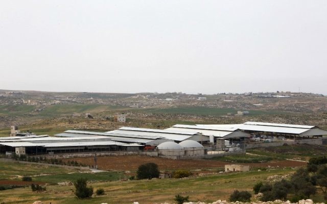 A general view of the Jebrini dairy farm in the West Bank town of Hebron, where cow dung is used to produce electricity as an alternative power source, April 10, 2017. (AFP Photo/Hazem Bader)