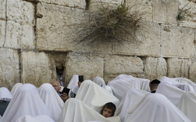 Jewish worshippers cover themselves with prayer shawls while praying at the Western Wall in Jerusalem's Old City during the Passover priestly blessing on April 13, 2017. (AFP Photo/Menahem Kahana) Jewish worshippers cover themselves with prayer shawls while praying at the Western Wall in Jerusalem's Old City during the Passover priestly blessing on April 13, 2017. (AFP Photo/Menahem Kahana)