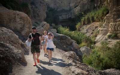 Tourists enjoy hiking in the Ein Gedi national park, near the Dead Sea, Israel. May 15, 2015.(Miriam Alster/ Flash90)