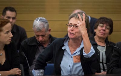 Lea Goldin, mother of fallen IDF soldier Hadar Goldin, speaks at a State Control Committee hearing in the Knesset on April 19, 2017. (Hadas Parush/Flash90) Lea Goldin, mother of fallen IDF soldier Hadar Goldin, speaks at a State Control Committee hearing in the Knesset on April 19, 2017. (Hadas Parush/Flash90)