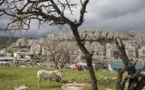 The East Jerusalem Jewish neighborhood of Har Homa, February 15, 2017. (Dan Balilty/AP)