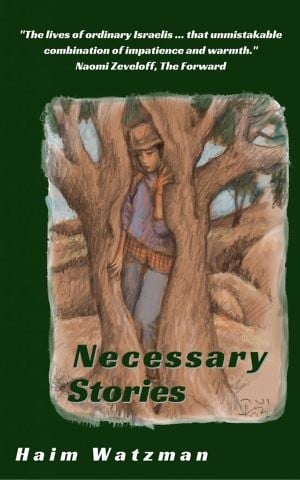 'Necessary Stories' by Haim Watzman. (Courtesy)