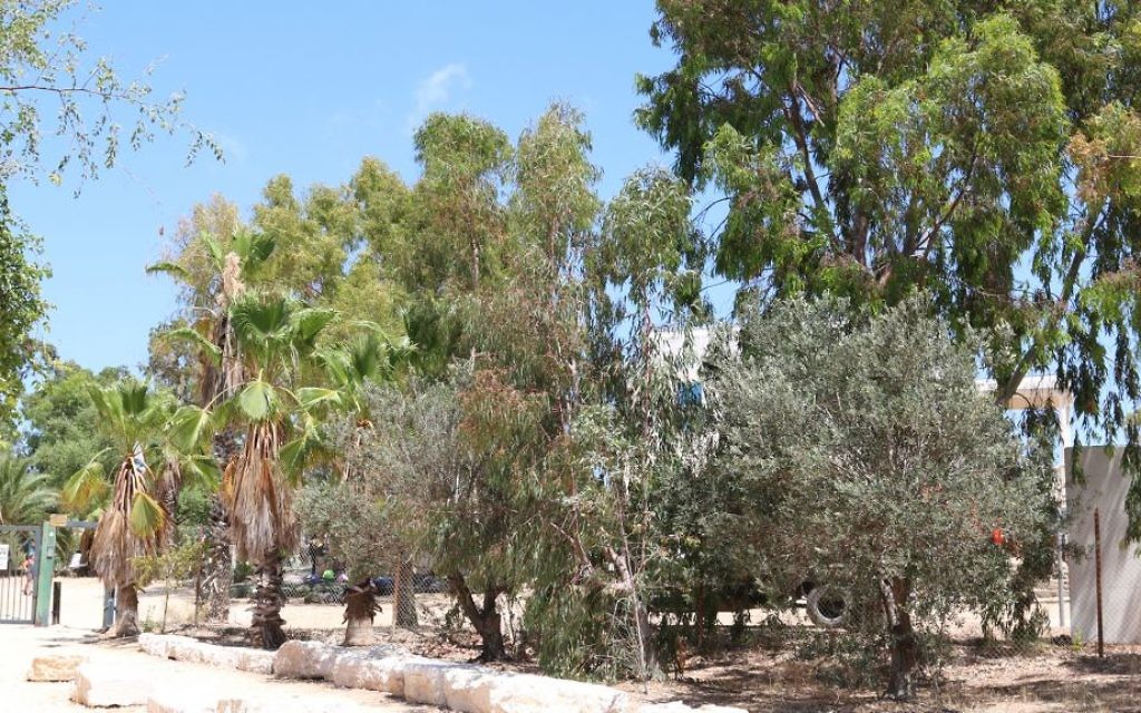 Kibbutz Nitzanim was overrun by Egyptian forces during the War of Independence. (Shmuel Bar-Am)
