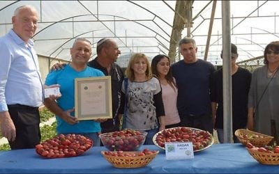 Agricultural Minister Uri Ariel (L) with the family members of Hadar Cohen at a ceremony naming a strain of strawberries after Hadar in April 2017. (Courtesy: Volcani Center)
