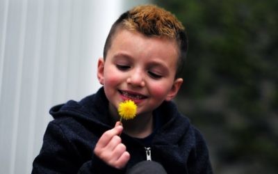 Seven-year-old transgender boy Jacob Lemay poses for photos in the yard of his home in Melrose, Massachusetts, on May 9, 2017. (JEWEL SAMAD / AFP)