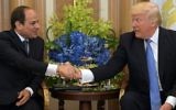 US President Donald Trump (R) and Egyptian President Abdel-Fattah el-Sissi take part in a bilateral meeting at a hotel in Riyadh on May 21, 2017. (AFP PHOTO / MANDEL NGAN)