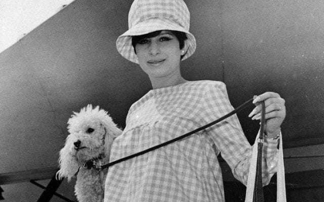 Barbra Streisand with her pet poodle Sadie on July 7, 1966. (AP Photo) Barbra Streisand with her pet poodle Sadie on July 7, 1966. (AP Photo)