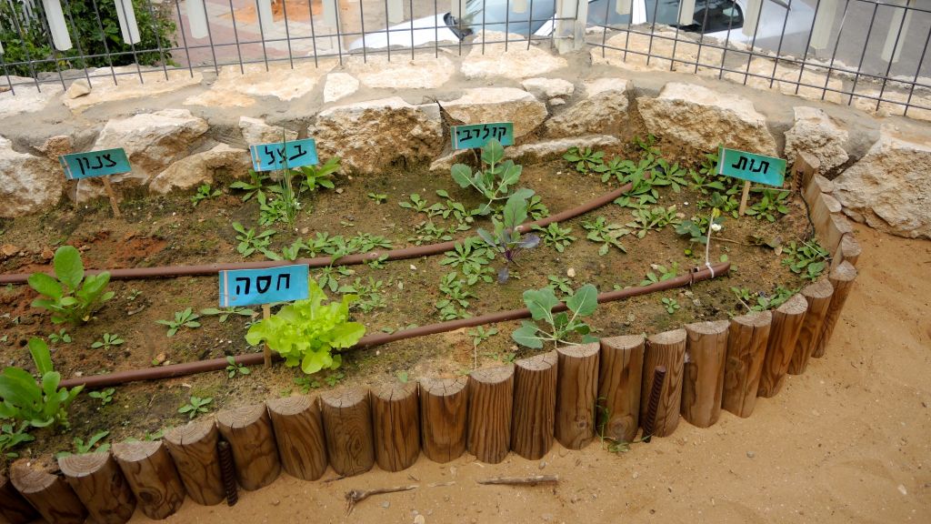 The gardens, like this one in Modiin Ilit on March 22, 2017, follow the commandment of kalayim, which means that each species is planted a certain distance from the other. (Melanie Lidman/Times of Israel)