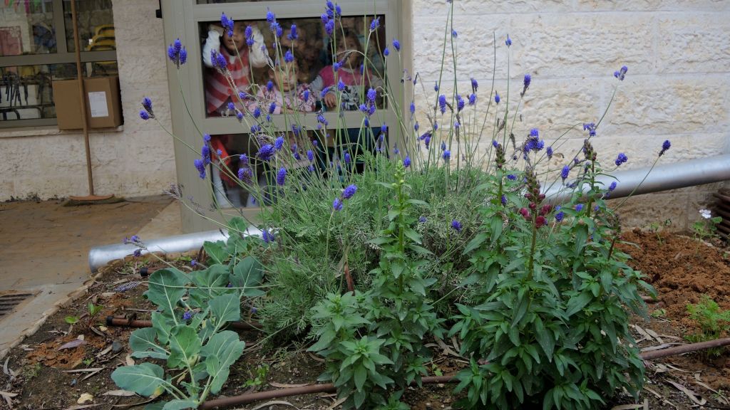 Children at Sara's kindergarten in Modiin Ilit look out at the garden on March 22, 2017. (Melanie Lidman/Times of Israel)