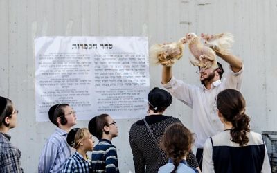 Illustrative image of kapparot in Bnei Brak, 11 September 2013. (CC BY Gady Munz Pikiwiki Israel, Wikimedia commons)