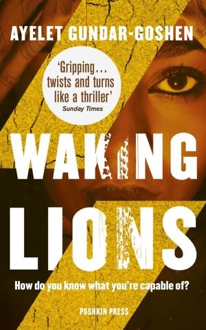'Waking Lions' by Ayelet Gundar-Goshen. (Courtesy)