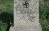 Illustrative: A gravestone daubed with a swastika and the words 'tolerance is weakness' at the Cherkasy Jewish cemetery, Ukraine, May 5, 2017. (Courtesy)