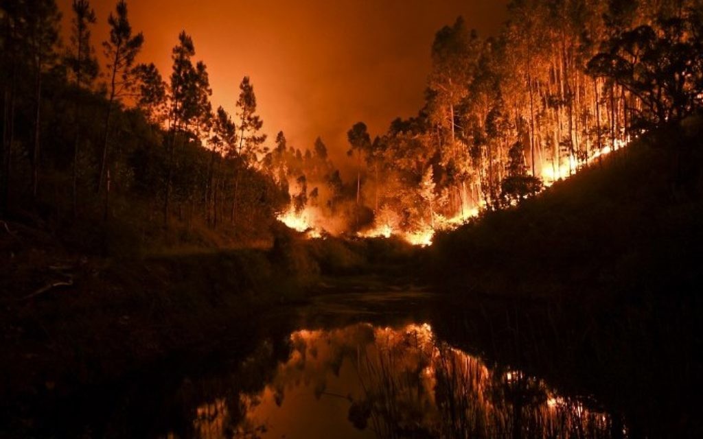 A wildfire is reflected in a stream at Penela, Coimbra, central Portugal, on June 18, 2017. (AFP PHOTO / PATRICIA DE MELO MOREIRA)