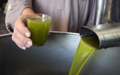 Illustrative: Olives are crushed to make olive oil in the West Bank vilage of Beit Ola near Hebron, on October 24, 2010. (Najeh Hashlamoun/ Flash90)