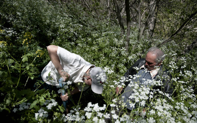 A former inhabitant of the abandoned village of Lifta supervises a young Israeli Arab while planting a tree on Land Day. Land Day is an Israeli Arab and Palestinian day to protest the seizure of private Arab land by the Israeli state. March 30, 2011. Photo by Ruben Salvadori/FLASH90 A former inhabitant of the abandoned village of Lifta supervises a young Israeli Arab while planting a tree on Land Day. Land Day is an Israeli Arab and Palestinian day to protest the seizure of private Arab land by the Israeli state. March 30, 2011. Photo by Ruben Salvadori/FLASH90