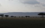 View of the Maasai Mara National Reserve, a large game reserve in Narok County, Kenya on September 3, 2014. (Haim Shohat/Flash90)