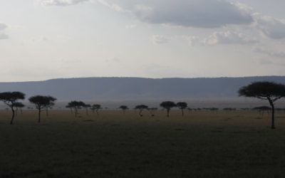 View of the Maasai Mara National Reserve, a large game reserve in Narok County, Kenya on September 3, 2014. (Haim Shohat/Flash90)