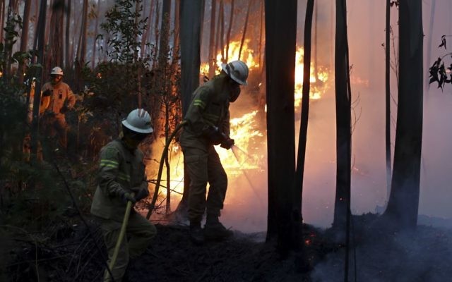 Firefighters of the Portuguese National Republican Guard work to stop a forest fire from reaching the village of Avelar, central Portugal, June 18 2017. (AP/Armando Franca) 