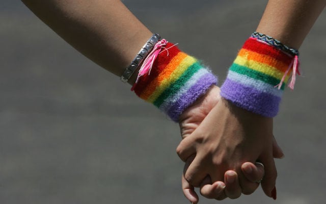 A lesbian couple hold hands during the annual Gay Pride rally, on June 8, 2007 Tel Aviv. (David Silverman/Getty Images via JTA) A lesbian couple hold hands during the annual Gay Pride rally, on June 8, 2007 Tel Aviv. (David Silverman/Getty Images via JTA)