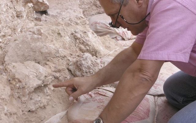 Dr. Jean-Jacques Hublin on March 16, 2007 on first seeing the new finds at the Jebel Irhoud site in Morocco where the oldest known fossils of human species have been unearthed. He is pointing to the crushed human skull (Irhoud 10) whose orbits are visible just beyond his finger tip. (Shannon McPherron/Max Planck Institute for Evolutionary Anthropology via AP)
