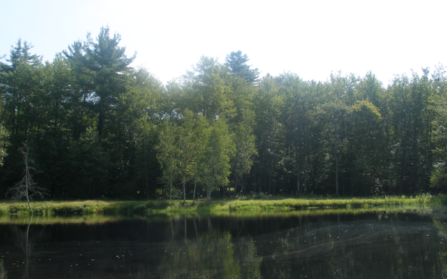 A view of Swan Lake, New York, the site of Kasho Camp. (Wikimedia Commons/JTA)