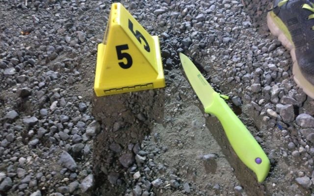 A knife used in a terror attack on Friday, June 16 2017 near Jerusalem's Old City. (Israel Police)
