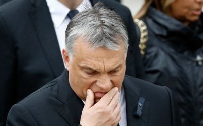 Hungarian Prime Minister Viktor Orban July 1, 2017. (AFP/Odd ANDERSEN)
