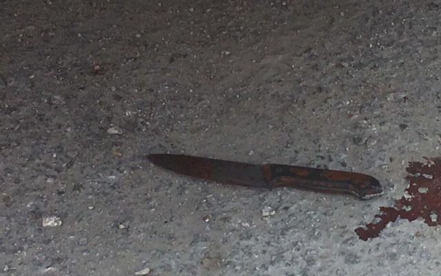 A knife that a Palestinian used to try to stab soldiers near the Palestinian village of Teqoa in the central West Bank on July 20, 2017. (IDF Spokesperson's Unit) A knife that a Palestinian used to try to stab soldiers near the Palestinian village of Teqoa in the central West Bank on July 20, 2017. (IDF Spokesperson's Unit)