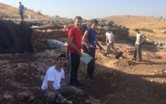 Dozens of students participated in the summer 2017 Rosh Ha'ayin dig. (Daniel Weinberger, IAA)