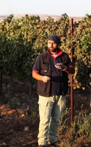 Jewish winemaker David Ventura from the West Bank settlement of Ofra checks the sugar level in grapes at his vineyard on September 18, 2011. (Kobi Gideon/Flash90) Jewish winemaker David Ventura from the West Bank settlement of Ofra checks the sugar level in grapes at his vineyard on September 18, 2011. (Kobi Gideon/Flash90)