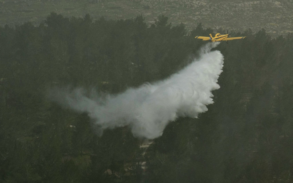 Illustrative: A firefighting plane dumps water on a forest in the Judean Hills during an exercise on March 29, 2012. (Omer Miron/Flash90) Illustrative: A firefighting plane dumps water on a forest in the Judean Hills during an exercise on March 29, 2012. (Omer Miron/Flash90)