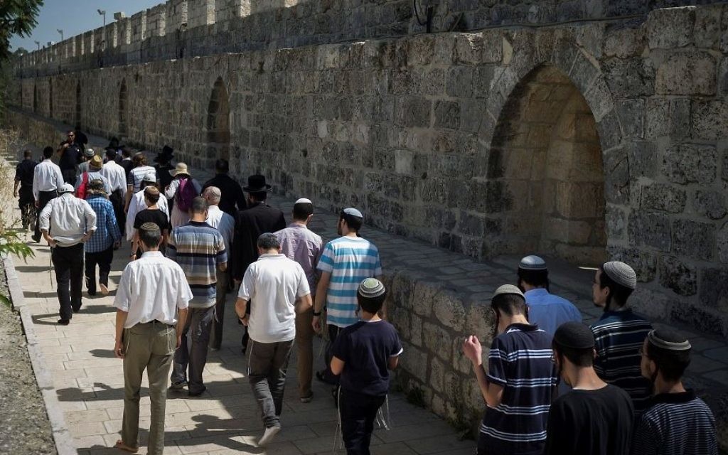 Police escort a group of religious Jews at the Temple Mount in Jerusalem's Old City on July 18, 2017. (Hadas Parush/Flash90)