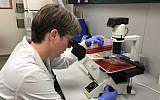 Gamida Cell's lab manager Noga Goudsmid-Rosenheimer at work, July 16, 2017 (Shoshanna Solomon/Times of Israel)