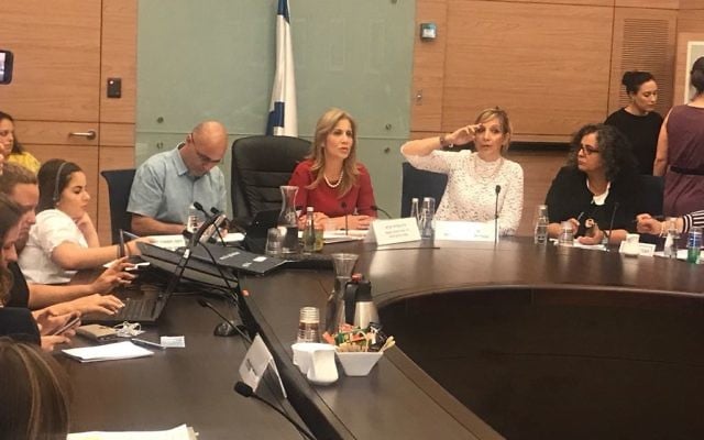 Justice Ministry Director-General Emi Palmorl (2R) addresses a Knesset committee on July 10, 2017. (courtesy) Justice Ministry Director-General Emi Palmorl (2R) addresses a Knesset committee on July 10, 2017. (courtesy)