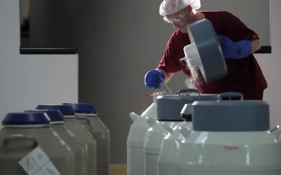Female egg-freezing, illustrative (YouTube screenshot)